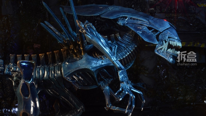 异形女王和异形女皇