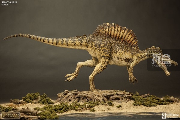 sideshow-styracosaurus-spinosaurus-preview-010