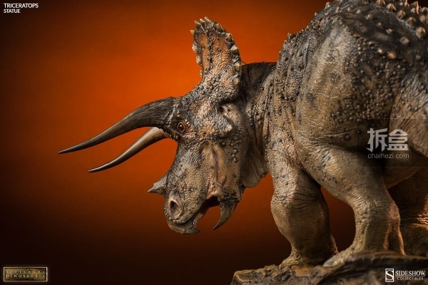 sideshow-dinosauria-triceratops-003