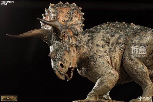 sideshow-dinosauria-triceratops-005