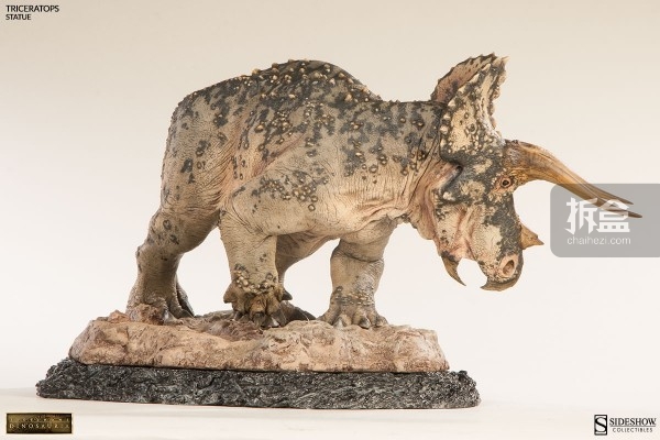 sideshow-dinosauria-triceratops-009