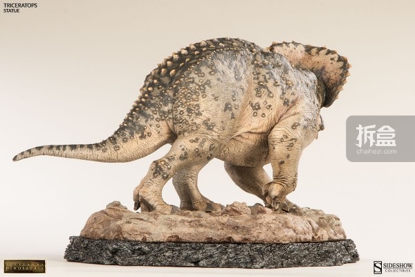 sideshow-dinosauria-triceratops-010