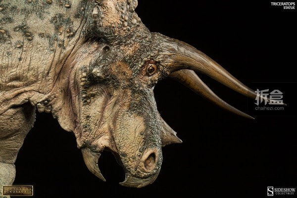 sideshow-dinosauria-triceratops-012