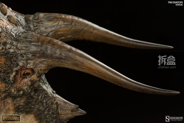 sideshow-dinosauria-triceratops-013