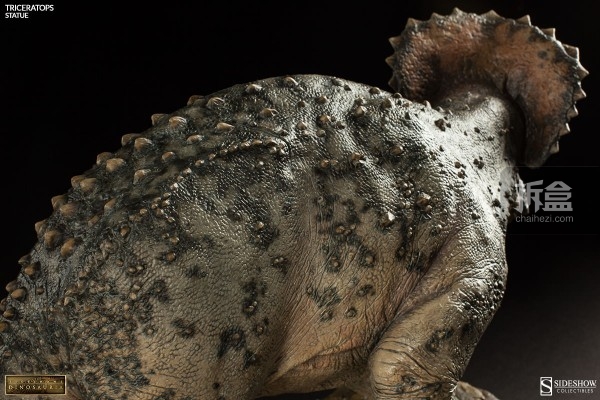 sideshow-dinosauria-triceratops-014