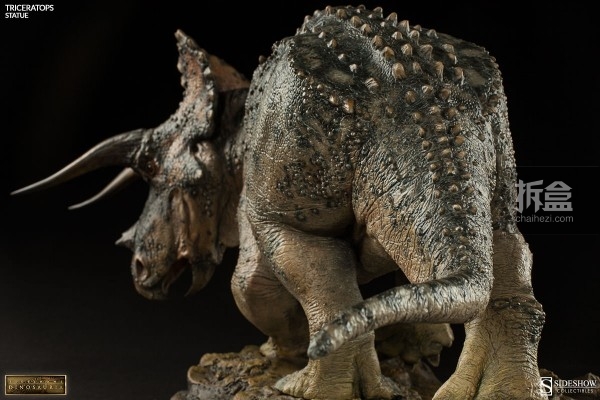 sideshow-dinosauria-triceratops-015