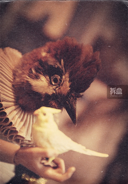 contribute-leondanbo-birdman-015