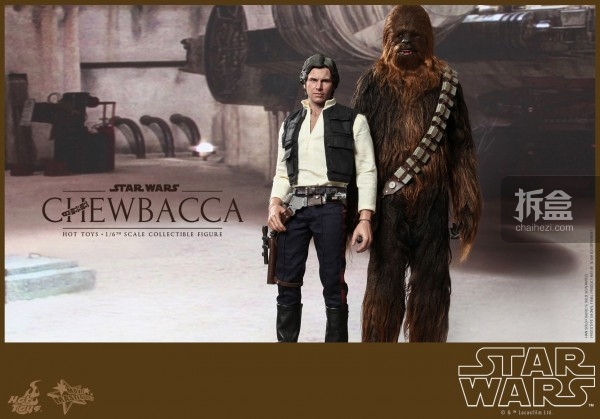hottoys-starwar-Chewbacca  (10)