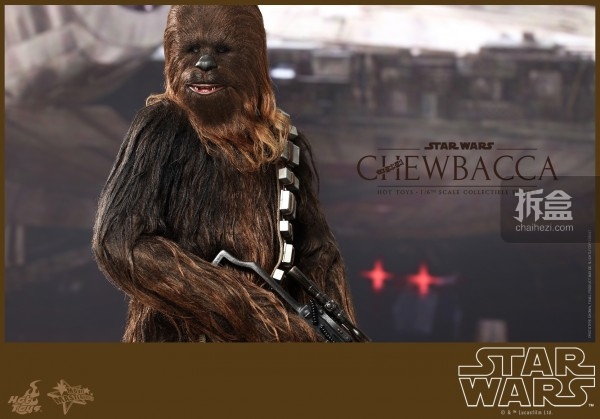 hottoys-starwar-Chewbacca  (8)