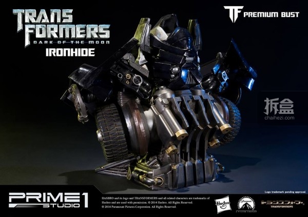 P1S-TF-IRONHIDE-bust-5