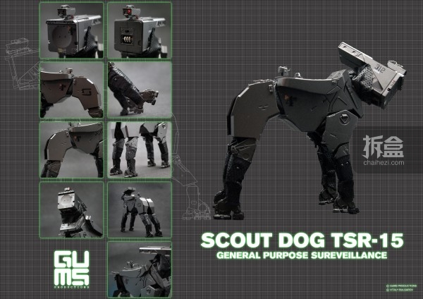 blackphoenix-scoutdog-gums-3
