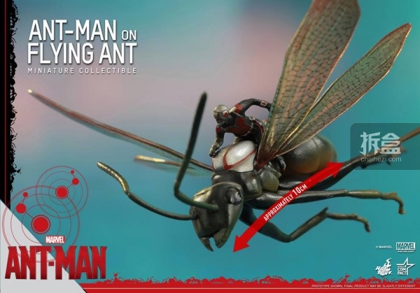 HT-antman-fliying-ant (2)