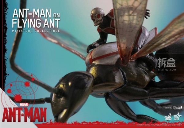 HT-antman-fliying-ant (4)