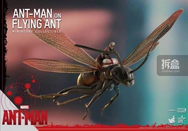 HT-antman-fliying-ant