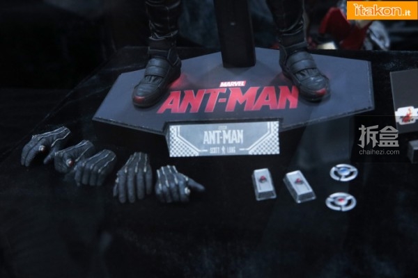 HT-sixth-antman-new(25)