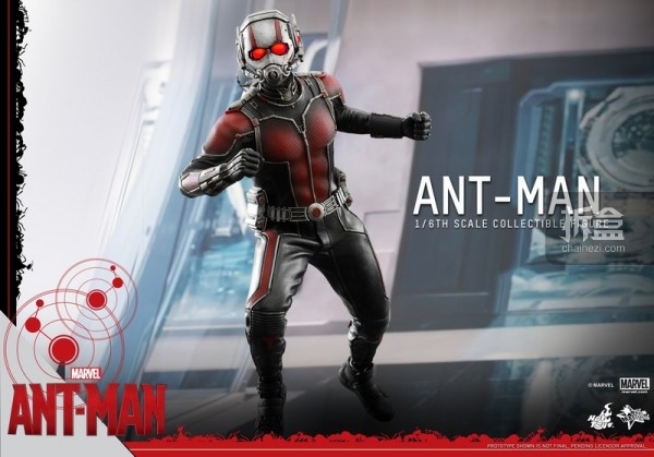 HT-sixth-antman-new(37)