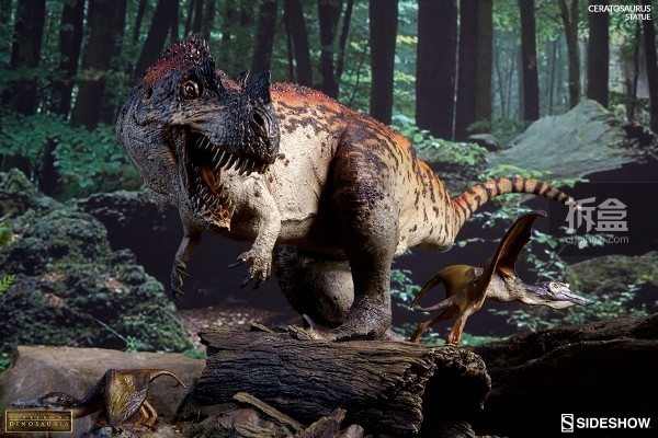 sideshow-Ceratosaurus (12)