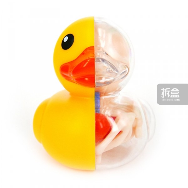 Bathing Ducky Funny Anatomy-2