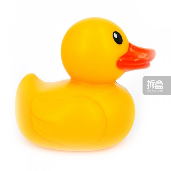 Bathing Ducky Funny Anatomy-3
