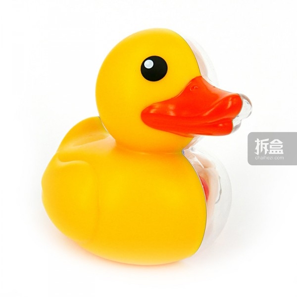 Bathing Ducky Funny Anatomy-6