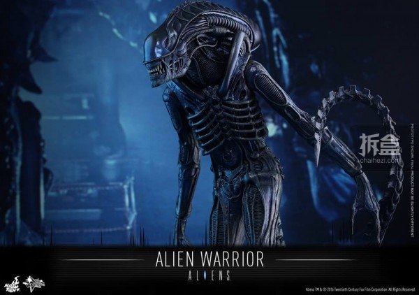 hottoys-2016-alienwarrior-11