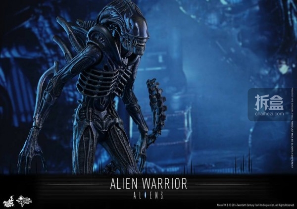 hottoys-2016-alienwarrior-7