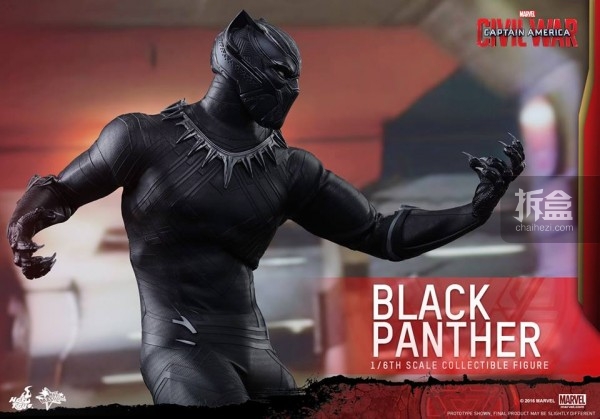 ht-black-panther-ca3-12
