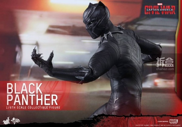 ht-black-panther-ca3-13