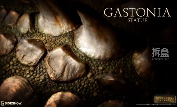 sideshow-Gastonia-soon