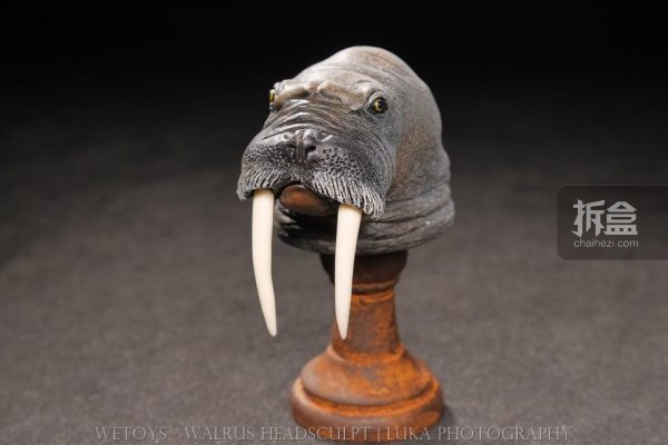 wetoys-walrus-luka-7