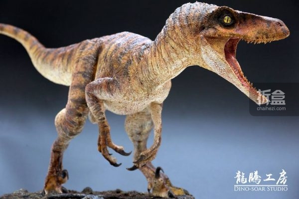 dinosuar-0908-7