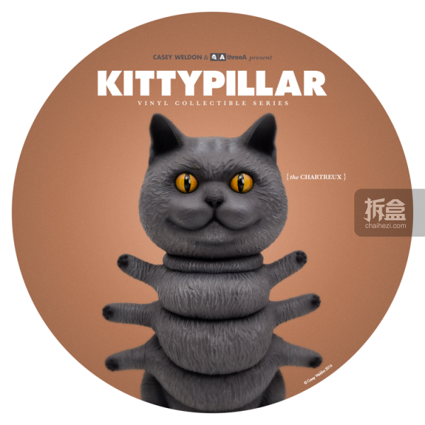 kittypillar-3
