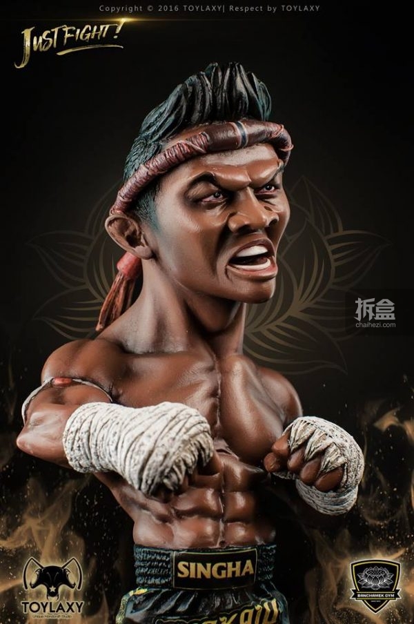 buakaw-banchamek-toylaxy-4a