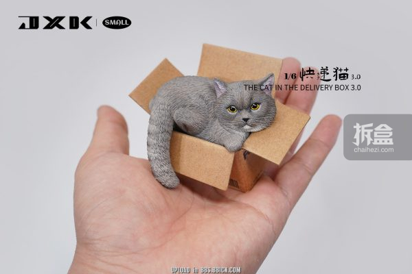 JXK SMALL 快递猫3.0 网红可爱橘猫懒猫宠物摆件手办- 拆盒